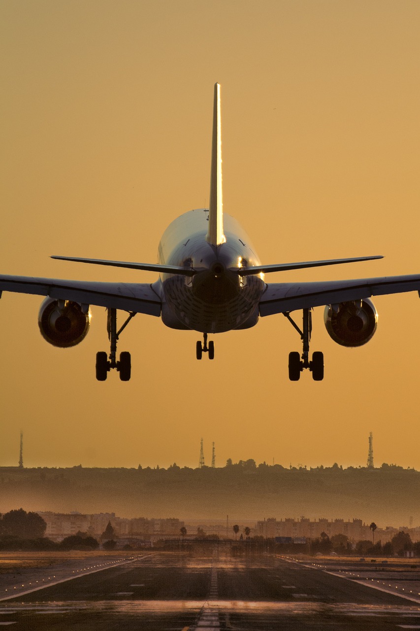 Ekonomia parkowania w rejonie głównego portu lotniczego w Warszawie