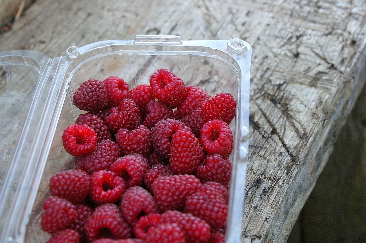 Innowacje w produkcji opakowań: klucz do zrównoważonego rozwoju